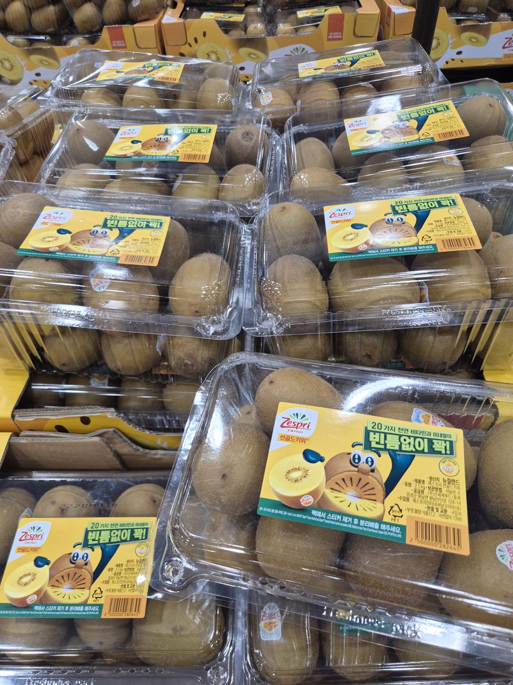 제스프리 썬골드키위 2.1kg 팩
